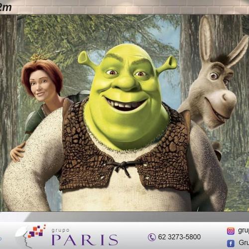 Painel Sublimado SHREK